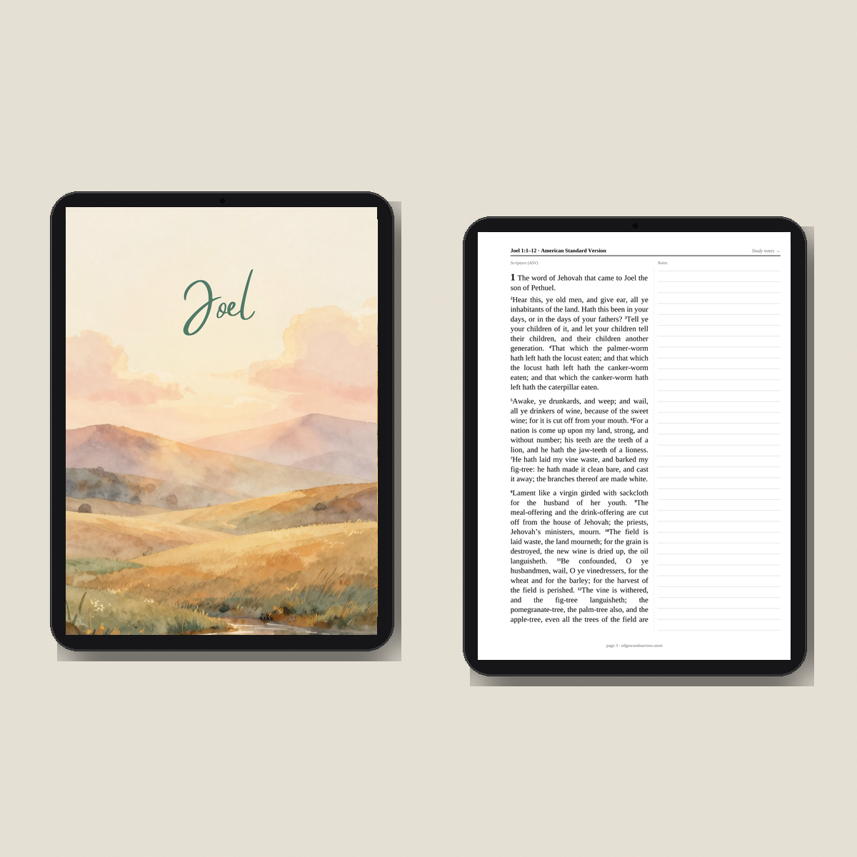 Joel — ASV Digital Download