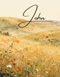 Gospel of John — ASV Digital Download