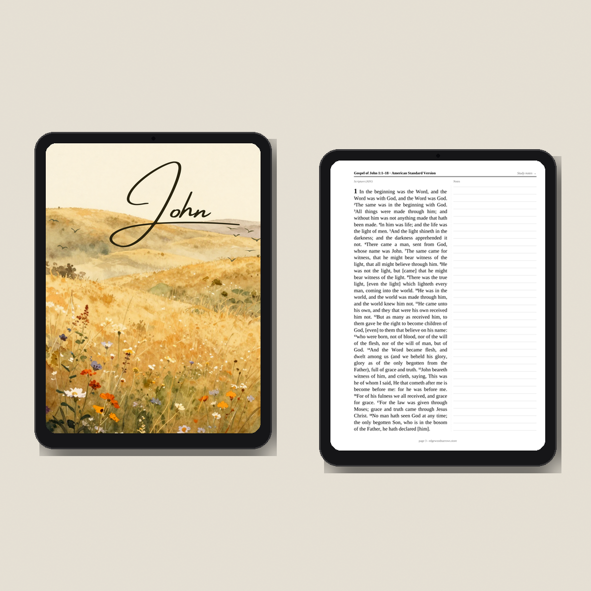 Gospel of John — ASV Digital Download