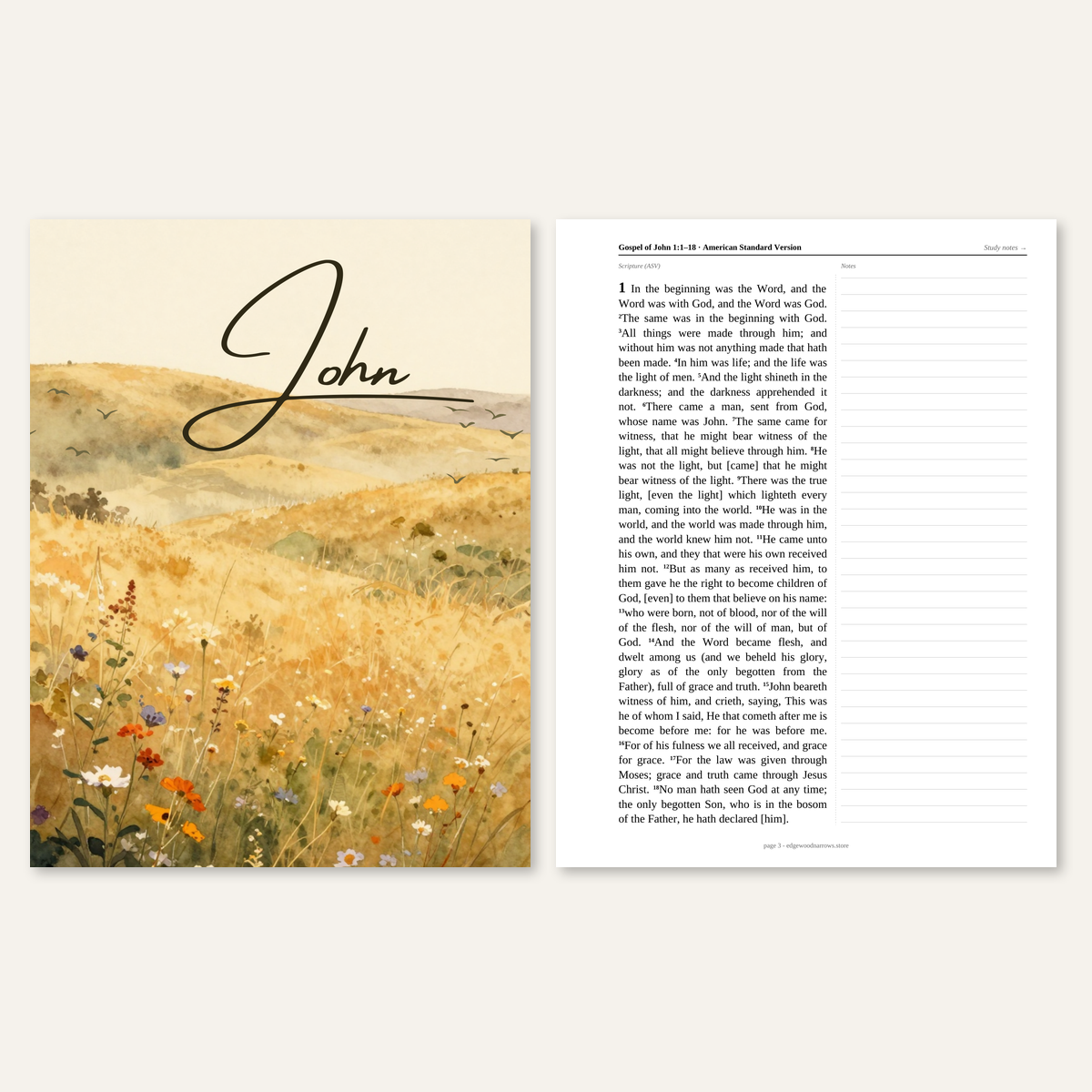Gospel of John — ASV Digital Download